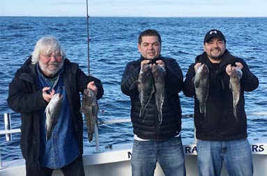 Three men smile as they each hold up two sea bass.