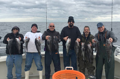On a cloudy, cold day, six men smile as they each hold up two sea bass.