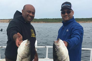 Two men smile as each hold up striped bass.