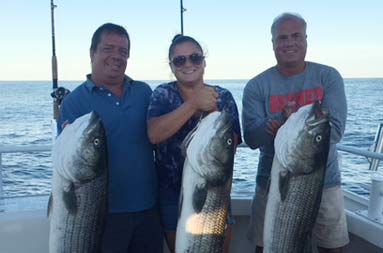 Standing in the shadow of the sun, two men with a woman standing between them, each hold up large striped bass.