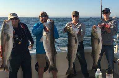 Four men smile and each proudly hold up striped bass.