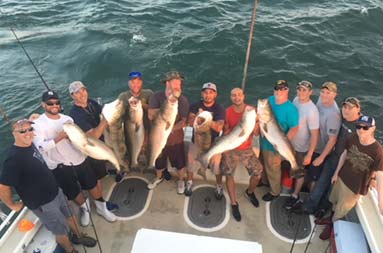 A view from the roof of the boat, a group of 13 guys look up and smile for the camera as some hold up striped bass.