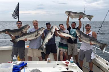 Six men hold up the striped bass they caught.