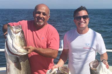 Two men smile big as one holds up one striped bass and the other holds up two.