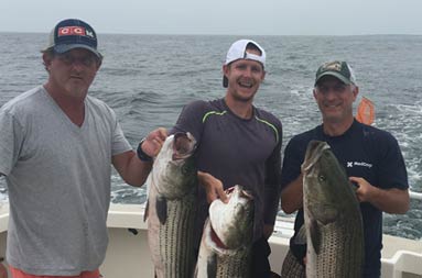 Three men each hold up a large striped bass.