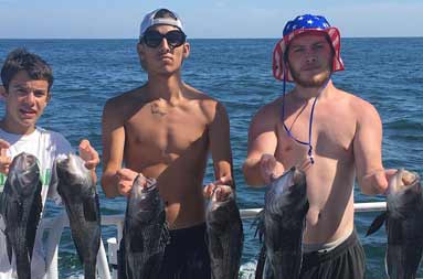 Three young men each hold up 2 sea bass each.