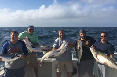 Five men each hold up striped bass and smile for the camera.