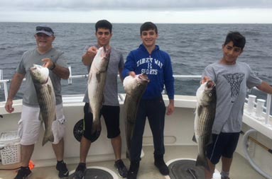 Four young men each smile and hold up striped bass.