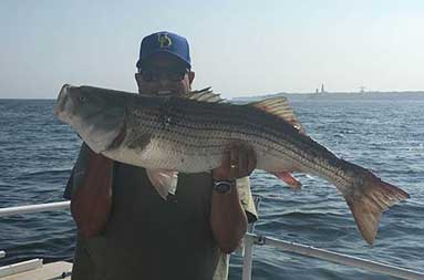 A man smiles and holds up a large striped bass with 2 hands.