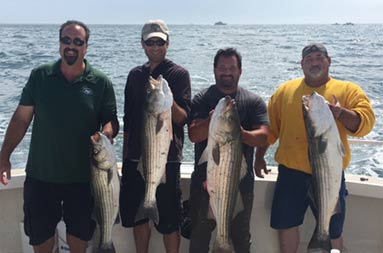 Four men smile for the camera and each hold up a striped bass.