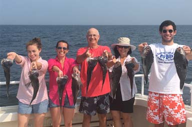 A group of men and women each hold up 2 sea bass.