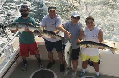 Looking down from atop the boat, 4 men each hold a striped bass and smile for the camera.