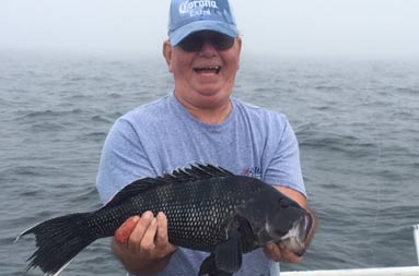 A man wearing a light blue shirt and baseball cap smiles and holds up a sea bass.