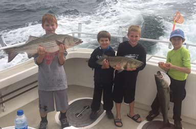 Four young boys hold up three striped bass, with two of them holding up one together.