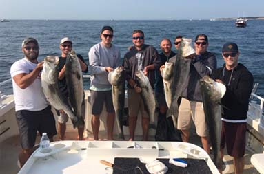 Eight men each smile and hold up a striped bass.