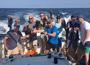 Eight men standing together all smile and hold up sea bass.