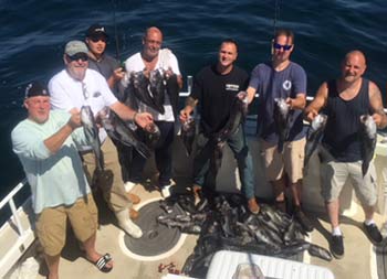 View from atop the boat looking down at a group of seven men each holding up 2 sea bass.