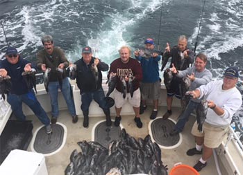 View from atop the boat looking down at a group of 8 men facing the camera, each holding up 2 sea bass.