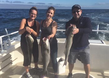 Two women and one man smile and each hold up a striped bass.