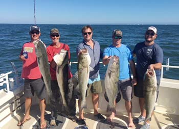 Five men each hold out their striped bass for the camera.