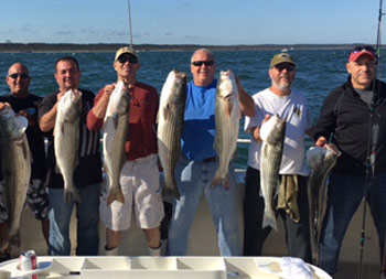 On a sunny blue-sky day, 7 men hold up striped bass, some with one in each hand.