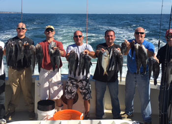 On a sunny blue-sky day, with the wake of the boat behind them, 7 men hold up sea bass, some with multiple in each hand.