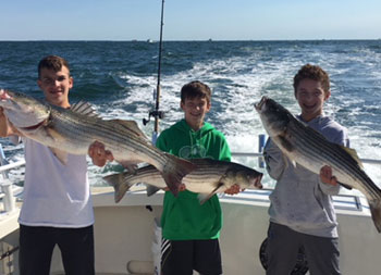 With the wake of the boat behind them, three adolescent boys each hold up a striped bass.