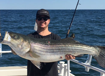 A man smiles and holds up a large striped bass with two hands.