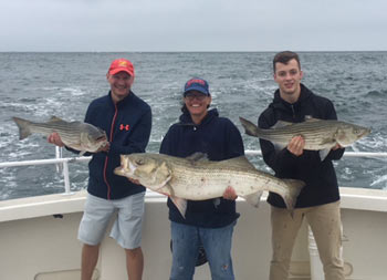 A woman stands in the middle holding a striped bass smiles big, with two men standing on either side, each holding their own stride bass, smiling as well.
