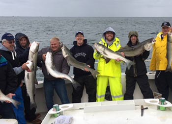 Nine men wearing sweatshirts, jackets and outdoor gear, each smile and hold up the striped bass they caught.