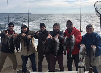 Six men dressed in jackets and hats, hold up 2 sea bass each as they smile for the camera.