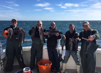 On a sunny, blue sky, crispy day, 5 men each hold up 2 sea bass for the camera.