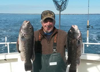 A man wearing a sweatshirt, hat and Grundens bib smiles and holds up 2 tautog for the camera.