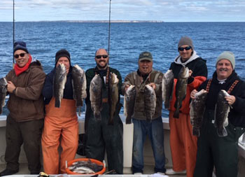 With a clear blue sky behind then, a group of 7 men wearing winter gear and clothing, each hold up two blackfish in their hands.