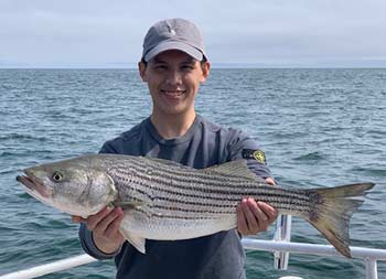 A man smiling and holding up the striped bass he caught.