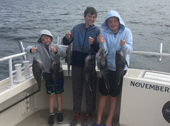 Three boys wearing hoodies/sweatshirts stand un the corner of the boat with the ocean behind them on an overcast day each hold up 2 sea bass.