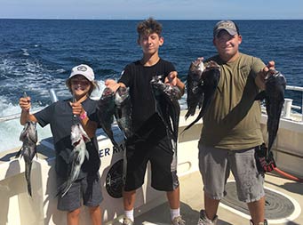 On a sunny blue-sky day, three you/adolesecent/young adult boys smile for the camera and each hold up 2 sea bass. 