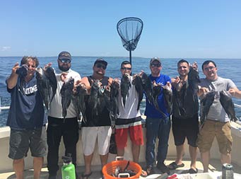 With the clear sky and calm ocean behind them, 7 men each smile and hold up 2 sea bass. 