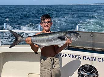 A young boy wearing glasses smiles and proudly holds up a bluefish with both hands.