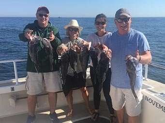 Two women and two men each hold up 2 sea bass and smile for the camera on a sunny day on the water.