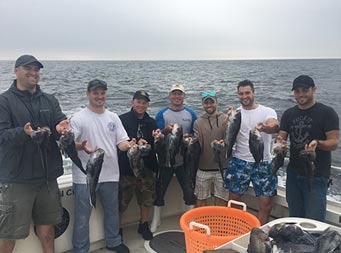 On an overcast day, 7 men each smile and hold up 2 sea bass.