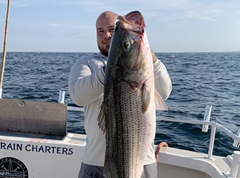 A man holds up the large striped bass he caught with 2 hands.