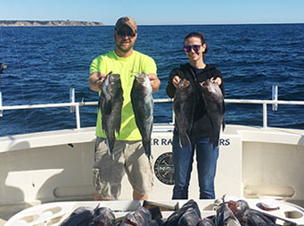 With a clear blue sky and the dark blue ocean behind them, a man wearing a bright yellow neon long t-shirt, and a woman wearing a black long sleeve shirt each hold up two sea bass.