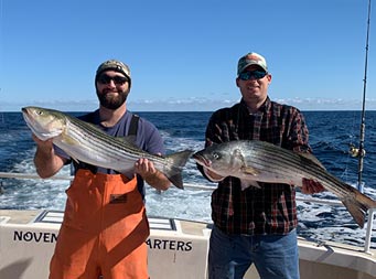 On a clear blue-sky day, two men stand side by side and smile, each holding up a striped bass.
