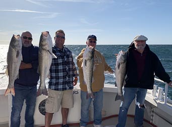 With the sun shining on the water and the sky clear blue, four men of varying ages smile and each hold up striped bass .