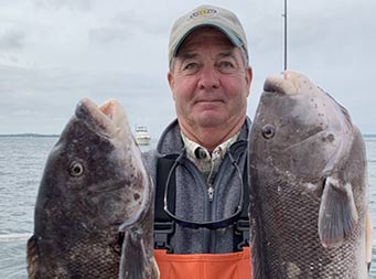 A man wearing orange fishing waders (overalls) holds up a tautog (blackfish) in each hand.