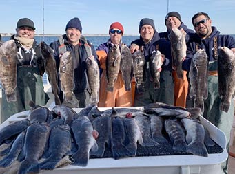 On a sunny and chilly morning, 6 men, most wearing hats and sweatshirts, each hold up 2 blackfish, with the filet table in the foreground cover with more whole blackfish.
